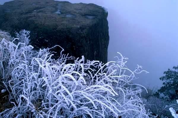 游戏加速器加强领导助力民族重点建设